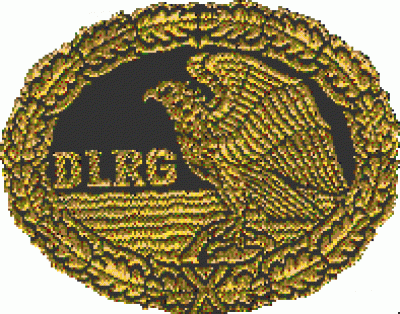 OG -Deutsches Rettungsschwimmabzeichen Gold