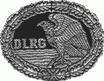 OG - Deutsches Rettungsschwimmabzeichen Silber